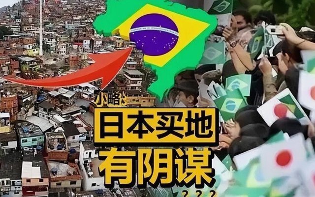 中国应借鉴他国经验，如日本学巴西模式