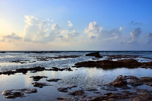 海文母亲：与默特萨克谈过，阿森纳没有一线队机会才来曼联