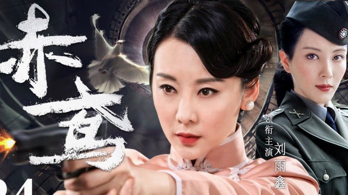 张洪福球探报告被忽视，董路热度不减