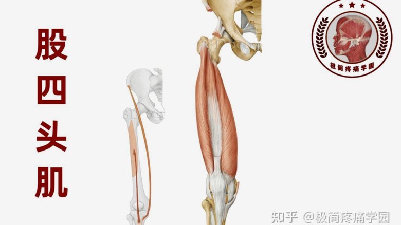 巴黎公布隆戈尼伤情更新：左大腿股四头肌不适中